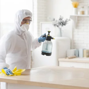 Cleaning for Specific Areas